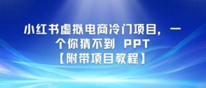 小红书虚拟电商冷门项目,一个你猜不到 PPT【附带项目教程】-湘创网