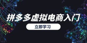 拼多多虚拟电商入门,精准选品方法论,无货源模式起盘技巧-湘创网