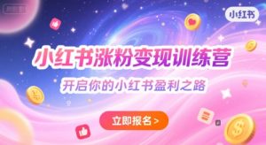 小红书涨粉变现训练营,开启你的小红书盈利之路-湘创网