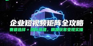 (15242期)企业短视频矩阵全攻略,赛道选择+团队搭建,精准获客变现实操-湘创网