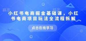 小红书电商掘金课,小红书电商项目玩法全流程拆解(更新7月)-湘创网