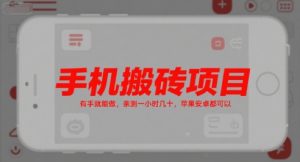 手机搬砖项目,有手就能做,亲测一小时几十,苹果安卓都可以-湘创网