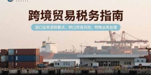 (15381期)跨境贸易税务指南,进口业务退税要点,转口贸易风险,特殊业务处理-湘创网