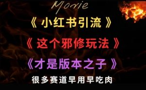 最近小红书引流这个邪修玩法才是版本之子,很多赛道早用早吃肉-湘创网