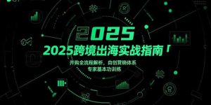 (15503期)2025跨境出海实战指南,并购全流程解析,自创营销体系,专家基本功训练-湘创网