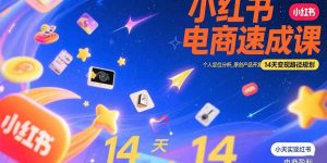 (15490期)小红书虚拟电商速成课:个人定位分析,原创产品开发,14天变现路径规划-湘创网