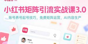 (15406期)小红书矩阵引流实战课3.0:账号养号起号技巧,免裴矩阵运营,AI内容生产-湘创网