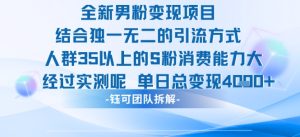 全新男粉变现项目引流人群35以上的男粉消费能力大 经过实测单日变现1k+-湘创网