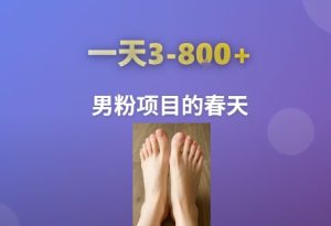 AI一键生成美女素材,一天收益3-8张,男粉项目的春天-湘创网