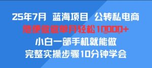 25年7月蓝海项目,公转私电商,随便做做单月轻松1w,小白一部手机就能做,完整实操步骤10分钟学会-湘创网