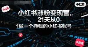 小红书涨粉变现营,21天从0-1做一个挣钱的小红书账号-湘创网