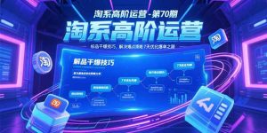 (15307期)淘系高阶运营-第70期,标品干爆技巧,解决难点策略,大佬操盘方法-湘创网