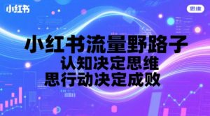 小红书流量野路子,认知决定思维,思维决定行动,行动决定成败-湘创网
