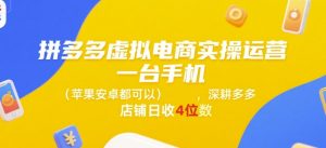 拼多多虚拟电商实操运营,一台手机(苹果安卓都可以),深耕多多店铺日收4位数-湘创网