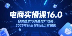 (15262期)淘宝电商运营课16.0,自然搜索与付费推广攻略,2025年标品非标品运营策略-湘创网
