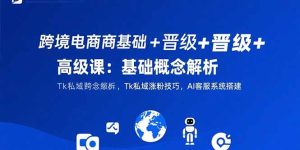 (15496期)跨境电商基础+晋级+高级课:基础概念解析,Tk私域涨粉技巧,AI客服系统搭建-湘创网
