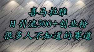 喜马拉雅,小而精的流量赛道,日进500+精准创业粉-湘创网