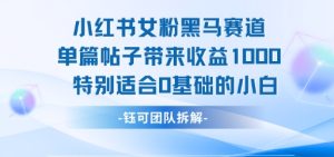 小红书女粉黑马赛道单篇帖子带来收益1k+,特别适合0基础的小白-湘创网