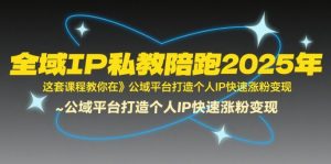 全域IP私教陪跑2025年,这套课程教你在公域平台打造个人IP快速涨粉变现-湘创网