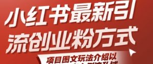 小红书最新引流创业粉方式,项目图文玩法介绍以及如何安全倒流私域-湘创网