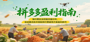 拼多多盈利指南:强付费玩法挖掘流量红利,活动爆流技术搭配微付费方案实现盈利跃升-湘创网