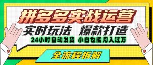 拼多多最新实战运营高投产:长久稳定项目,单店利润一天三位数-湘创网