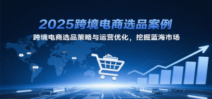 2025跨境电商选品案例,跨境电商选品策略与运营优化,挖掘蓝海市场-湘创网