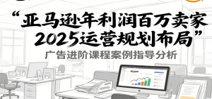 亚马逊年利润百万卖家2025运营规划布局,广告进阶课程案例指导分析-湘创网