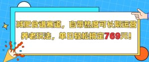 减肥食谱赛道,自带热度可长期运营,养老玩法,单日轻松搞定769-湘创网
