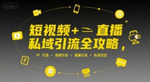 短视频+直播私域引流全攻略,IP打造 +视频引流 +直播引流 +私域沉淀-湘创网
