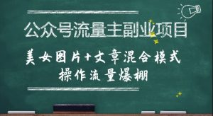 公众号流量主副业项目,美女图片+文章混合模式操作流量爆棚-湘创网