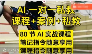 AI指令实战课,课程+案例,80节AI实战课程,笔记指令随意享用,课程指令随意享用(更新7月)-湘创网