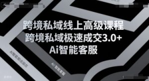 跨境私域线上高级课程,跨境私域极速成交3.0+Ai智能客服-湘创网