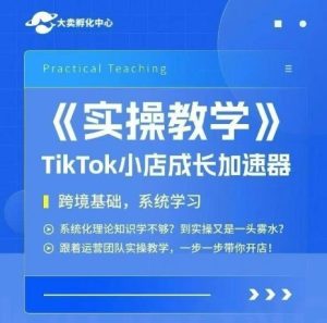 大卖家孵化中心TikTok实操课,TikTok小店成长加速器,跨境基础系统学习,一步一步带你开店-湘创网