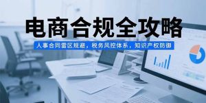 (15377期)电商合规全攻略,人事合同雷区规避,税务风控体系,知识产权防御-湘创网