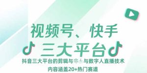 (15449期)视频号、快手、抖音三大平台的剪辑与数字人直播技术,内容涵盖20+热门赛道-湘创网