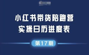 小红书第17期带货陪跑营,不囤货,无不直播,无不投流,通过选品+笔记内容+测品+笔记铺量+矩阵运营打爆款-湘创网