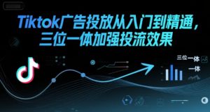 Tiktok广告投放从入门到精通,三位一体加强投流效果-湘创网