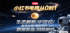 小红书电商从0到1:生态解析/IP定位/ 账号运营/爆款创作/直播带货/数据复盘/风险避坑-湘创网