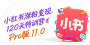 (15432期)小红书涨粉变现120天特训营Pro版11.0:从0到1掌握平台运营,内容制作和变现-湘创网
