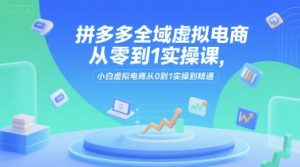 拼多多全域虚拟电商从零到1实操课,小白虚拟电商从0到1实操到精通-湘创网