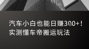 汽车小白也能日入3张!实测懂车帝搬运玩法-湘创网