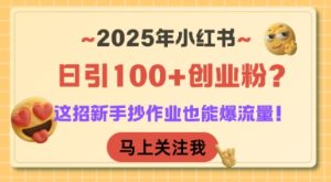 2025年小红书日引100+创业粉？这招新手抄作业也能爆流量！-湘创网