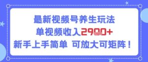 视频号养生玩法,单视频收入2.9k,新手上手简单-湘创网