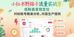 (15423期)小红书野路子流量实战营:低粉高变现定位 对标账号精准分析 内容生产提效-湘创网