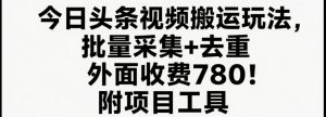 今日头条视频搬运玩法,软件一键去重,轻松日入500+附项目工具-湘创网