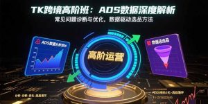 (15809期)TK跨境高阶班:ADS数据深度解析,常见问题诊断与优化,数据驱动选品方法-湘创网