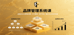 品牌管理系统课:战略定位与消费者洞察,DTC案例、资产评估,增长与公关体系搭建-湘创网