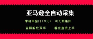 亚马逊全自动采集,单机单窗口一天10+,可无限矩阵去做-湘创网