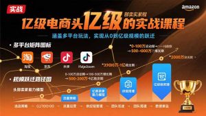(15803期)亿级电商头部卖家的实战课程:涵盖多平台玩法,实现从0到亿级规模的跃迁-湘创网